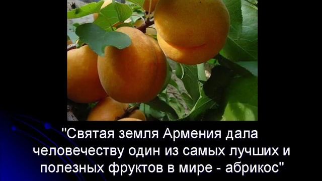 Армянские сказки часть -1 (Бред Сивой Кобылы) смотреть онлайн