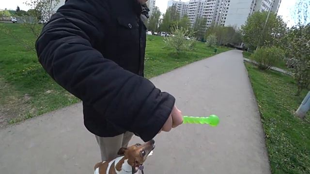 Виста-суперзвезда смотреть онлайн