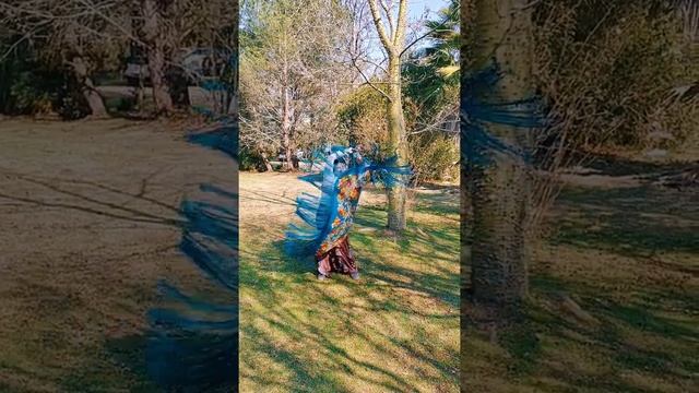 Nuevos Mantones de baile Estampados flamenco смотреть онлайн