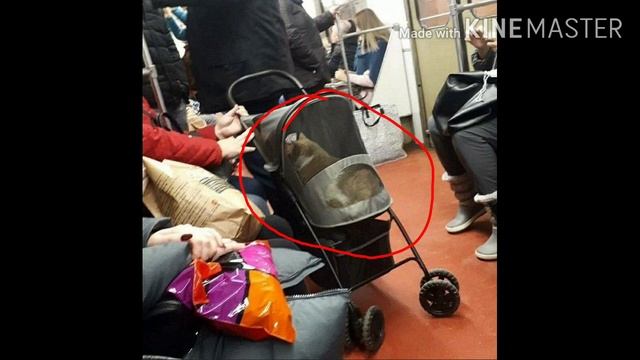 Странное фото из метро! смотреть онлайн