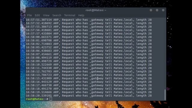 Tcpdump Docker corfr/tcpdump смотреть онлайн