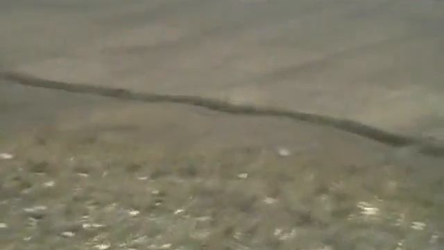 Ветер 30 м/с дул с моря... смотреть онлайн