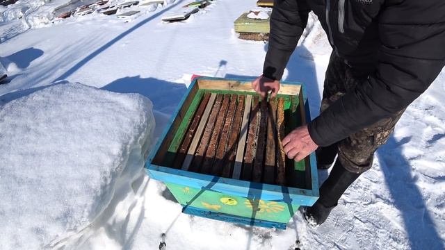 ГОДОВОЙ ЦИКЛ РАБОТЫ С ПЧЁЛАМИ в 12 РАМОЧНОМ УЛЬЕ от А до Я, 300 рамка и +145 магазины. 1 Часть.