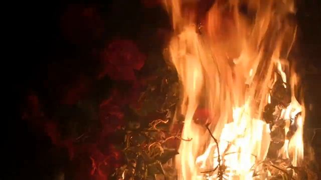 Ритуалы - онлайн на Лугнасад (1 августа). К Богам кельтов. 1. Собрать урожай своих плодов. К Лугу. смотреть онлайн