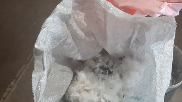 Как сделать подушку из гусиного пуха и пера.Набиваю подушку пухом и пером. смотреть онлайн