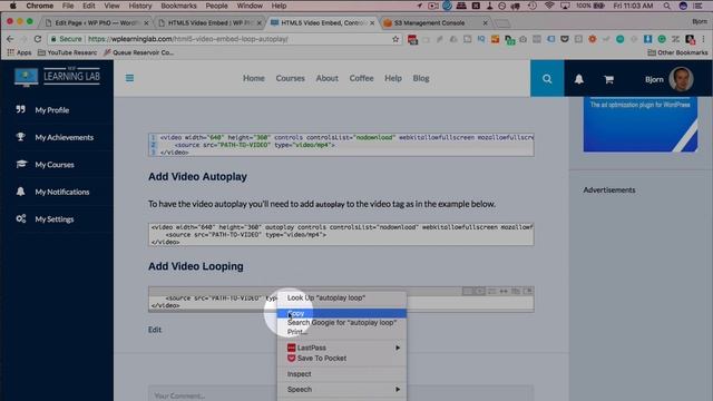HTML5 Video Loop Autoplay Using The Video Tag And Simple Parameters смотреть онлайн