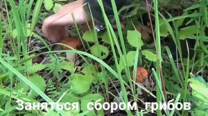 ЧЕМ ЗАНЯТЬСЯ НА ПЕНСИИ МУЖЧИНЕ