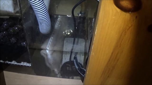 Jebao DCT-8000 Water Pump Installation смотреть онлайн