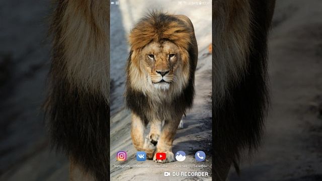 Ноготь монстр (история) случайно сказал поставьте лайки -_- смотреть онлайн