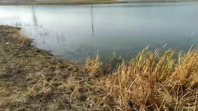 Рыбалка на новом озере.Отдых на природе.?☀ смотреть онлайн