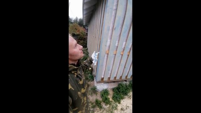 Покраска дачного дома 1-ый этап смотреть онлайн