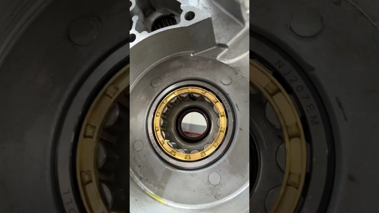 14 сентября 2023 г. смотреть онлайн