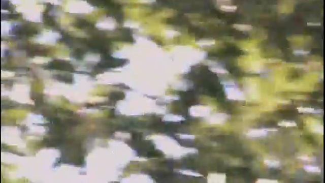 Тест камеры Samsung. VP-DC575WI.Крым. Россия.