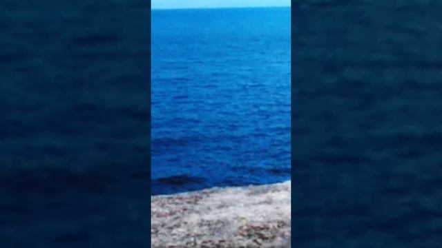 Стих. Суть свободы. О заключенных смотреть онлайн