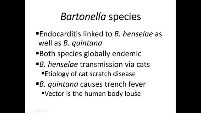 2018: 10 Cases of Fever – 10 Lessons Learned смотреть онлайн