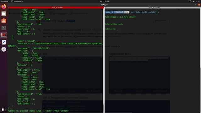 Multichain : Appending Data to Blockchain with BINARYCACHE (M-4) смотреть онлайн