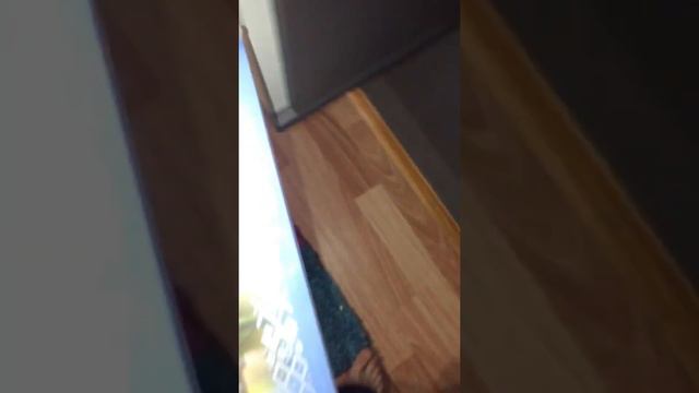 Короче говоря я получил два! смотреть онлайн