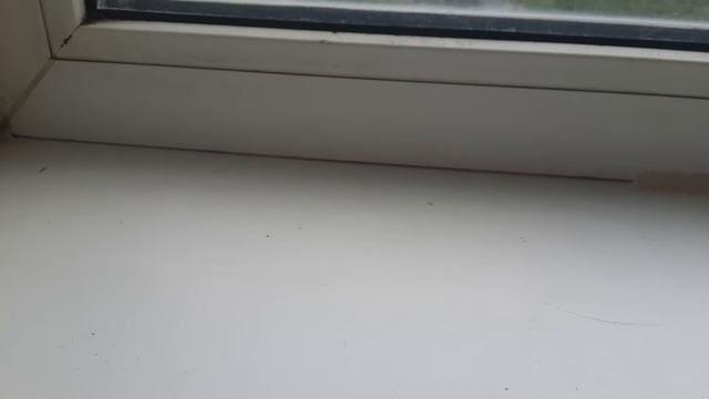 Удаление краски и пятен быстро и легко