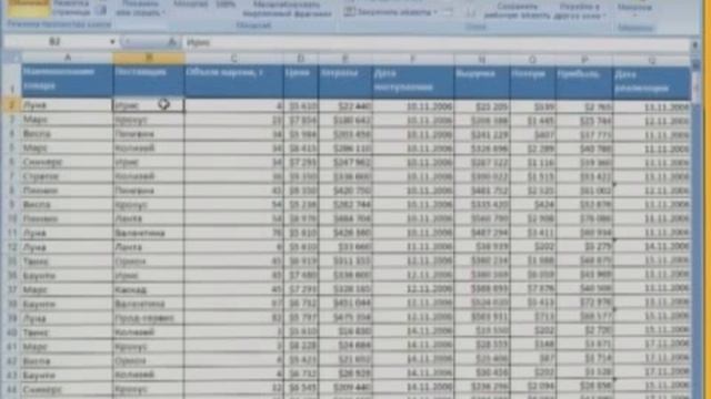 Excel 2007 Спиридоныч Лекция 3
