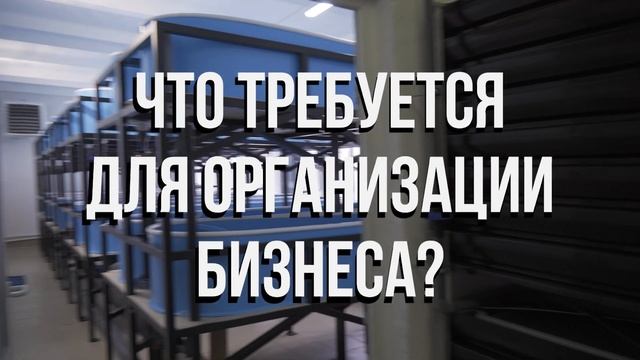 Видео БИЗНЕС ПЛАН форелевой ФЕРМЫ УЗВ на 100 ТОНН В ГОД | Чем ПЕРСПЕКТИВЕН рыбоводный БИЗНЕС? смотреть онлайн