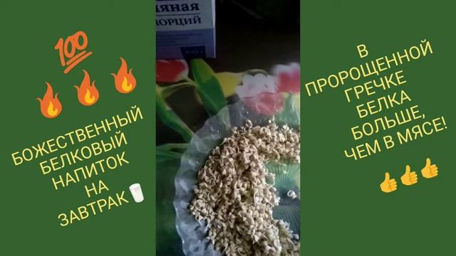 ???КОКТЕЙЛЬ ИЗ ПРОРОЩЕННОЙ ГРЕЧКИ??? смотреть онлайн