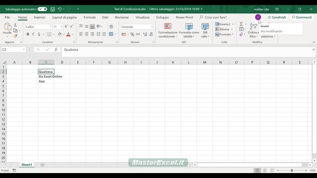 MasterExcel.it | Condividere un File Excel e Lavorare Contemporaneamente sul Foglio Excel Condiviso смотреть онлайн