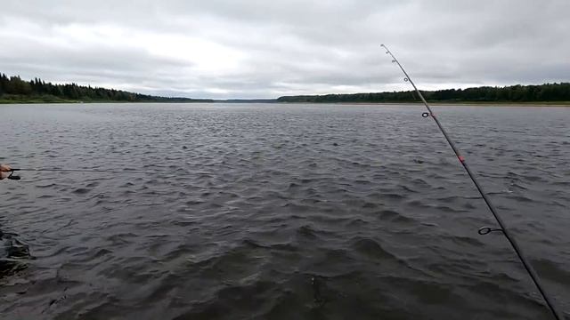 Взял ЖЕНУ на рыбалку и подарил ПОДАРОК / За крупным ОКУНЕМ на спиннинг смотреть онлайн