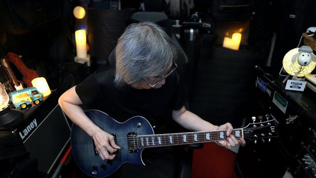 ESP LTD EC256 FM