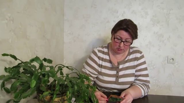 Обзор семян. Армянский огурец - что это? Новая посылочка. смотреть онлайн