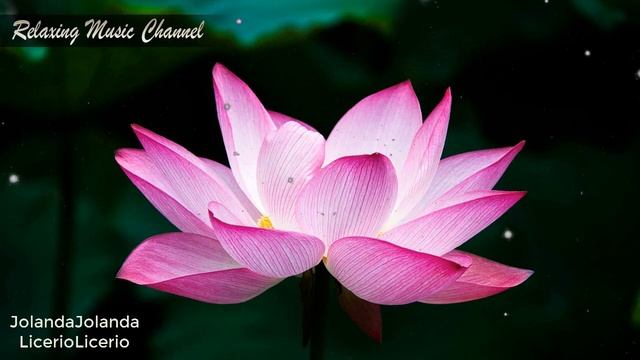 Красивая Успокаивающая Музыка для Лечения Нервов: Музыка для Души, Медитации, Релаксации и Сна смотреть онлайн