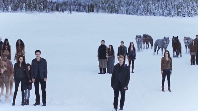 Видео для YouTube с подбором материала/YouTube video with selection of material смотреть онлайн