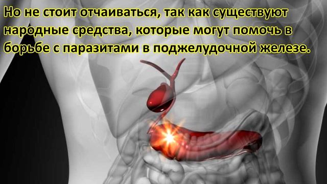 Паразиты могут жить в поджелудочной железе смотреть онлайн