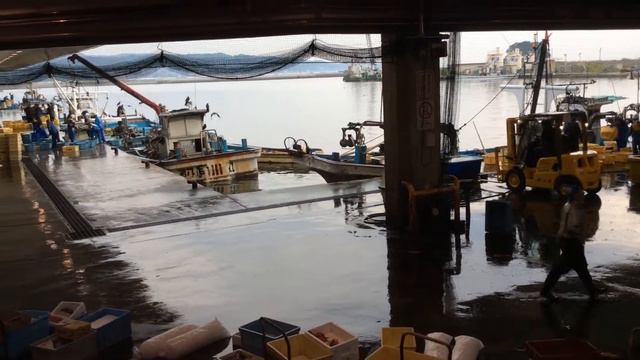 A Morning Market at Fisherman's Wharf of Himi Port, Toyama, Japan смотреть онлайн