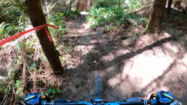 Steam Donkey at Port Gamble смотреть онлайн