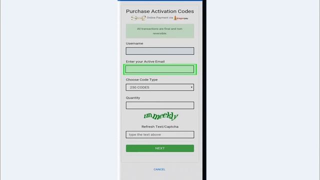 secret2success how to purchase activation code with dragon pay смотреть онлайн