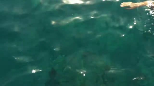 SOl y MAR sharks bay смотреть онлайн