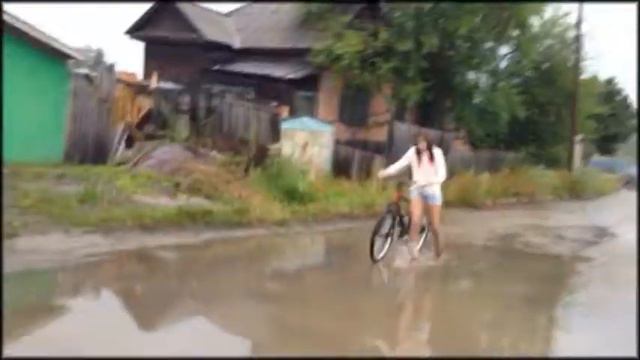 Покатушки хомяков смотреть онлайн