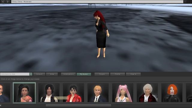Virtual World Basic Viewer By L1Aura Loire