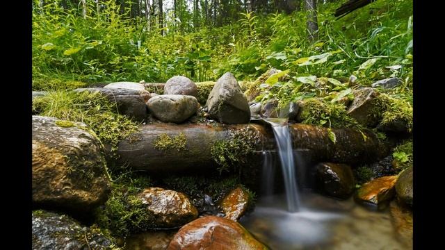 Заговор от порчи на ноги смотреть онлайн