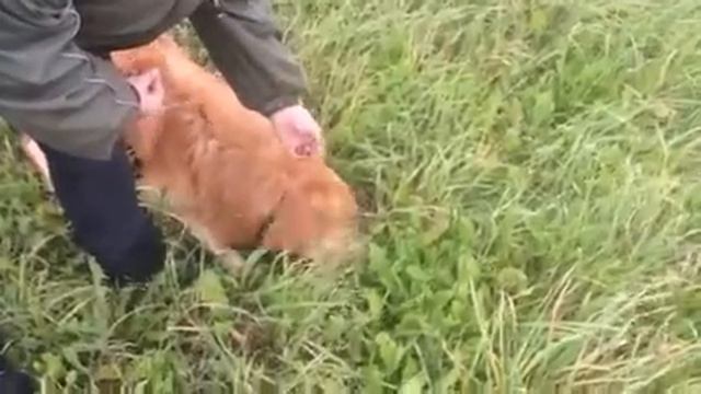 Рик след сентябрь 16 2 часть смотреть онлайн