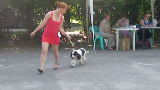 001 ЛЩ 22 06 13 смотреть онлайн