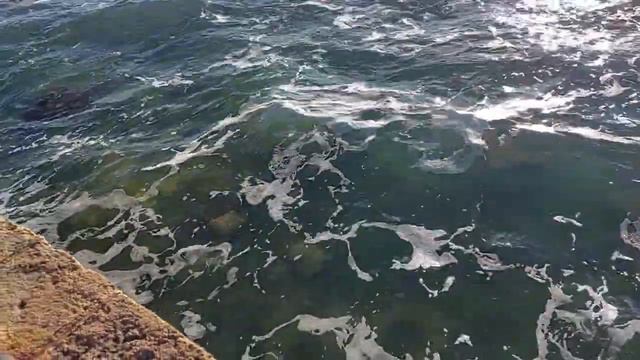 город Акко красивые места возле моря смотреть онлайн