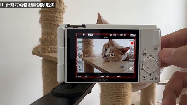 索尼 ZV-1II 开箱评测：超迷你相机这次真是“自拍”神器了 смотреть онлайн