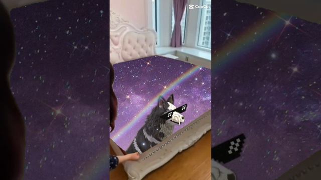 #реки Как я вам в роле одеяла? #рекомендации #wilbcraft #edit #animal #wolf #xrecorder #dog смотреть онлайн