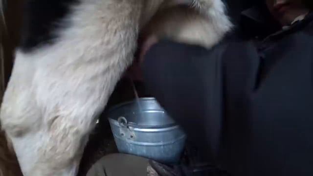 «Чини төлә» Дмитрий Шараев