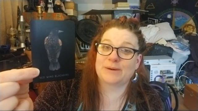Unboxing The Obsidian Oracle! ?? смотреть онлайн