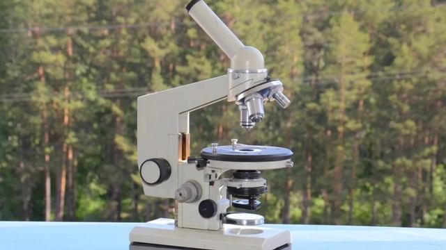 Микроскоптың құрылысы. Жарық микроскопы смотреть онлайн