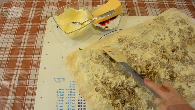 Грибные экскурсии