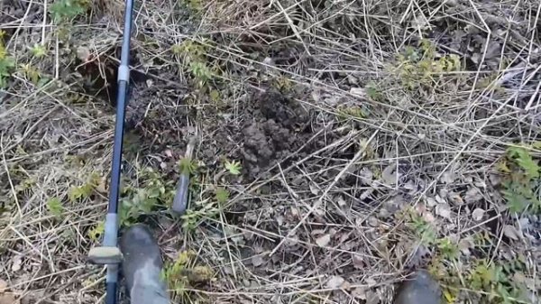 Древности под нашими ногами. Древние находки с XP Deus 2 Деус 2