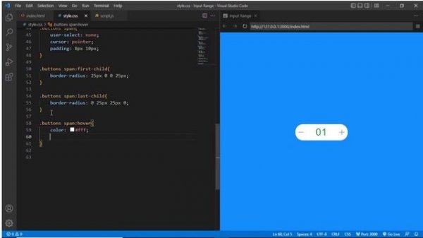 Increment and decrement button with input in  html, css and javascript